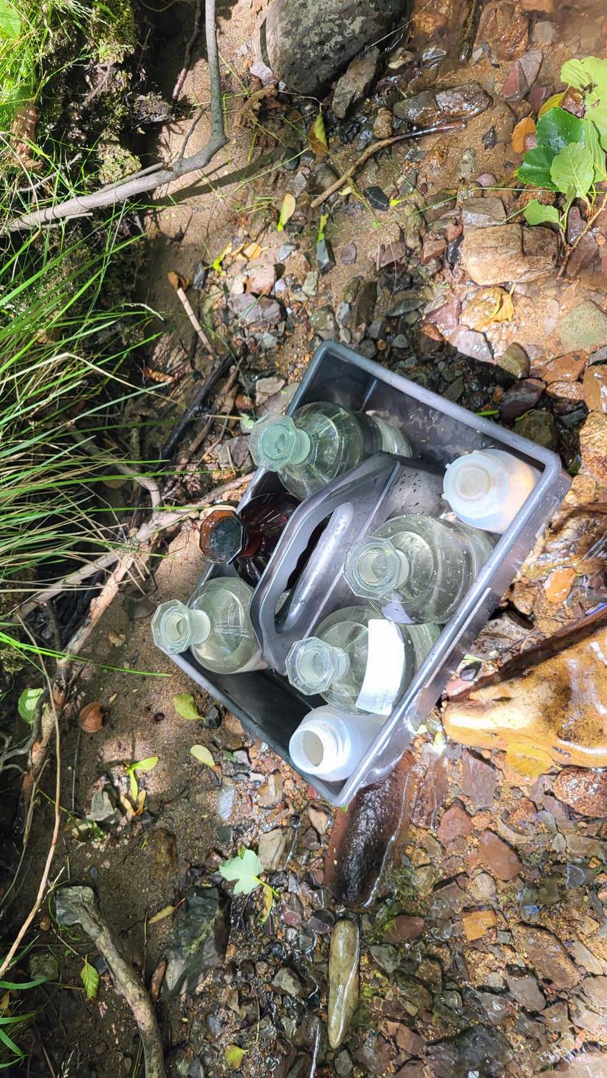 wasserproben umweltamt