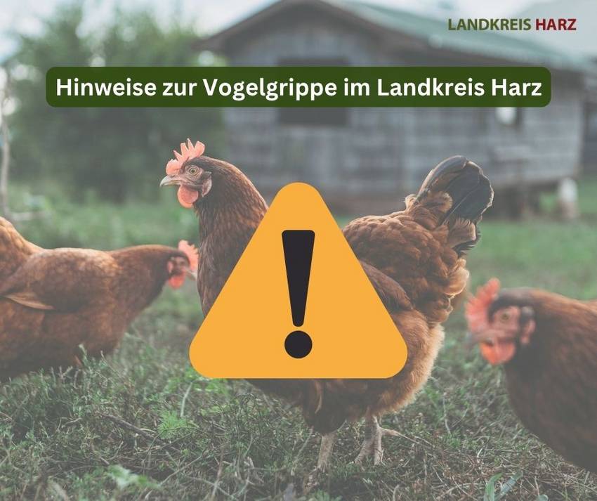 vogelgrippe 1 vogelgrippe 1