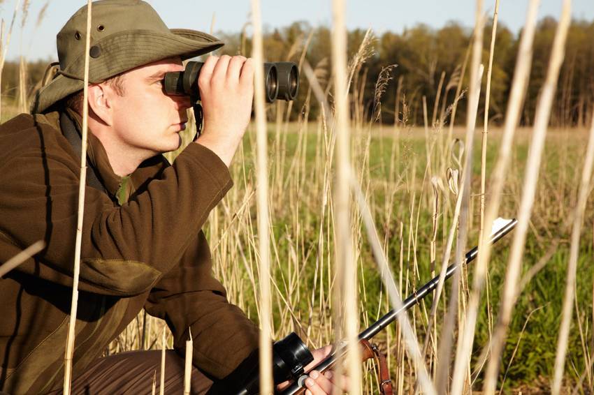 Symbolbild Jagd - ein Jäger hockt im Gras, hält ein Fernglas in der Hand, durch das er schaut. In der andren Hand hat er sein Gewehr.