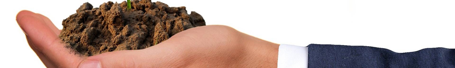 Eine Hand, die etwas Erde und einen Setzling hält