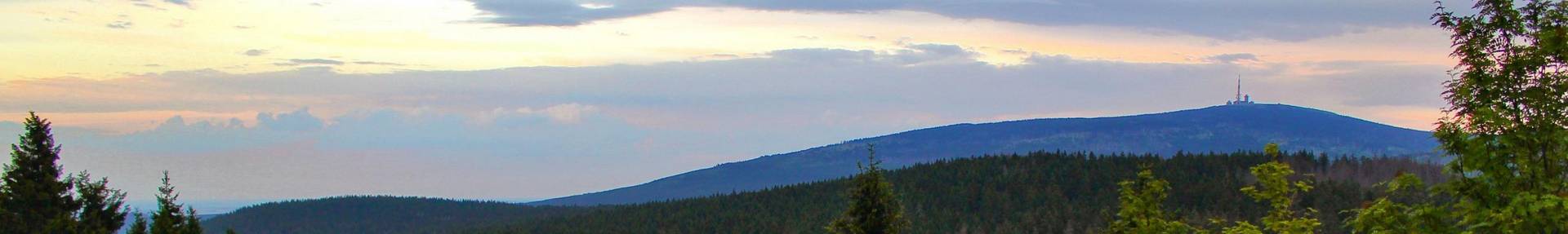 grüne Bäume und Wiese, im Hintergrund der Brocken