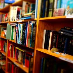 Auf dem Bild abgebildet ist ein Regal mit vielen verschiedenen Büchern.