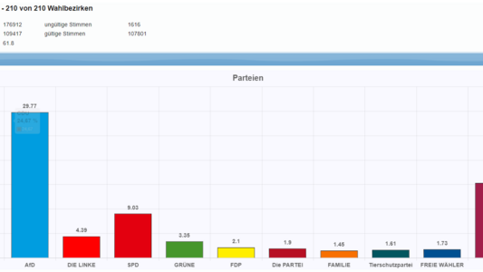vorläufiges Ergebnis Europawahl LK Harz