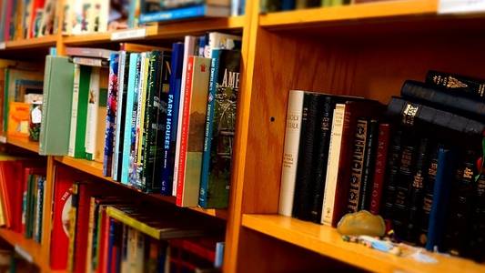 Bücherregal Auf dem Bild abgebildet ist ein Regal mit vielen verschiedenen Büchern.