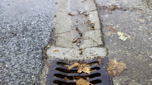 detail of drain with tree leaf in autumn 2025 10 11 06 57 18 utc