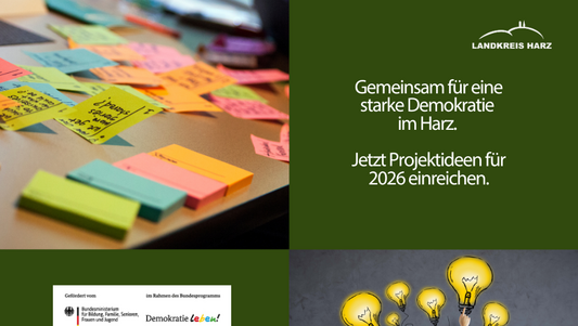Eine Collage. Oben links viele bunte Post its auf einem Tisch, daneben ein grüner Bereich mit dem Landkreis Harz Logo und der AufschriftGemeinsam für eine starke Demokratie  im Harz.   Jetzt Projektideen für 2026 einreichen. Unten links die Logos der fördernden Institutionen. Rechts danaben eine Frau, cie von hinten zu sehen ist. Über ihr sind gemalte Glühbirnen, die für ihre Ideen stehen.