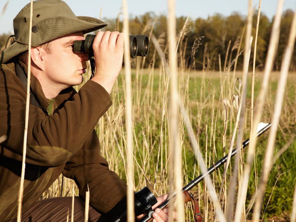 Symbolbild Jagd - ein Jäger hockt im Gras, hält ein Fernglas in der Hand, durch das er schaut. In der andren Hand hat er sein Gewehr.