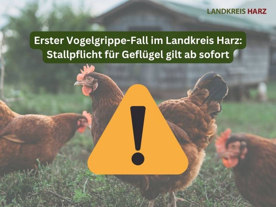 Allgemeinverfügung zur Aufstallungsanordnung für den Landkreis Harz 1