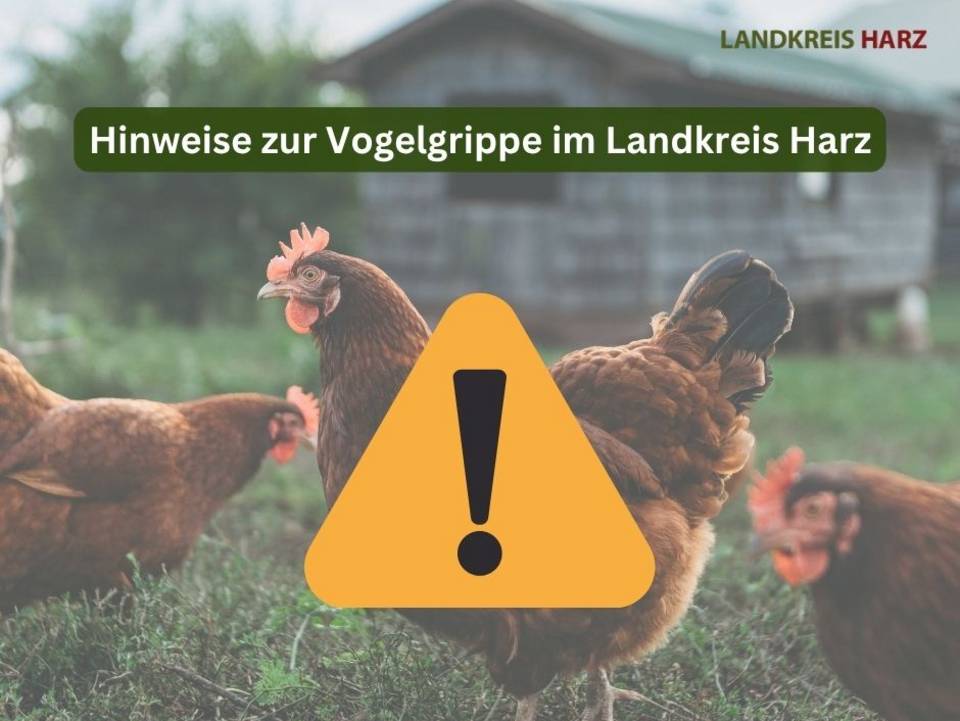Allgemeinverfügung zur Aufstallungsanordnung für den Landkreis Harz vogelgrippe 1